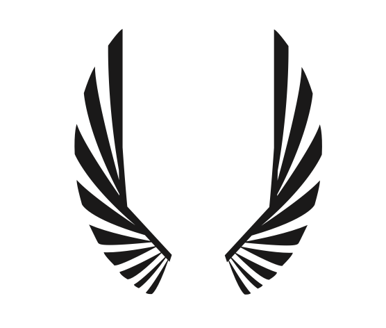 Eagle wings symbol